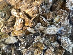 -渔满仓海鲜渔家(象山二店)