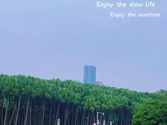 -红花山公园