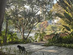 -晓港公园
