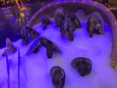 -小天鹅戴斯酒店鲸鲨百汇创作料理