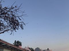 -白城沙滩