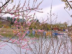 -黄龙溪欢乐田园