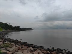 -深圳湾公园(南山区)