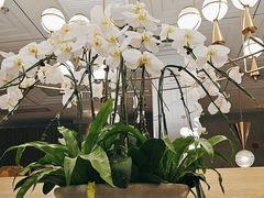 -鹿港小镇(霄云店)