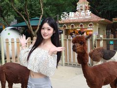 -成都欢乐谷