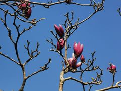 -桃花涧