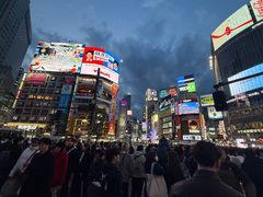 -涩谷全向十字路口