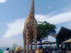 -西霞口神雕山野生动物世界