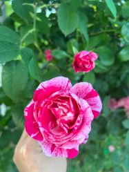 -壹加壹医疗美容·轻医美·美容外科