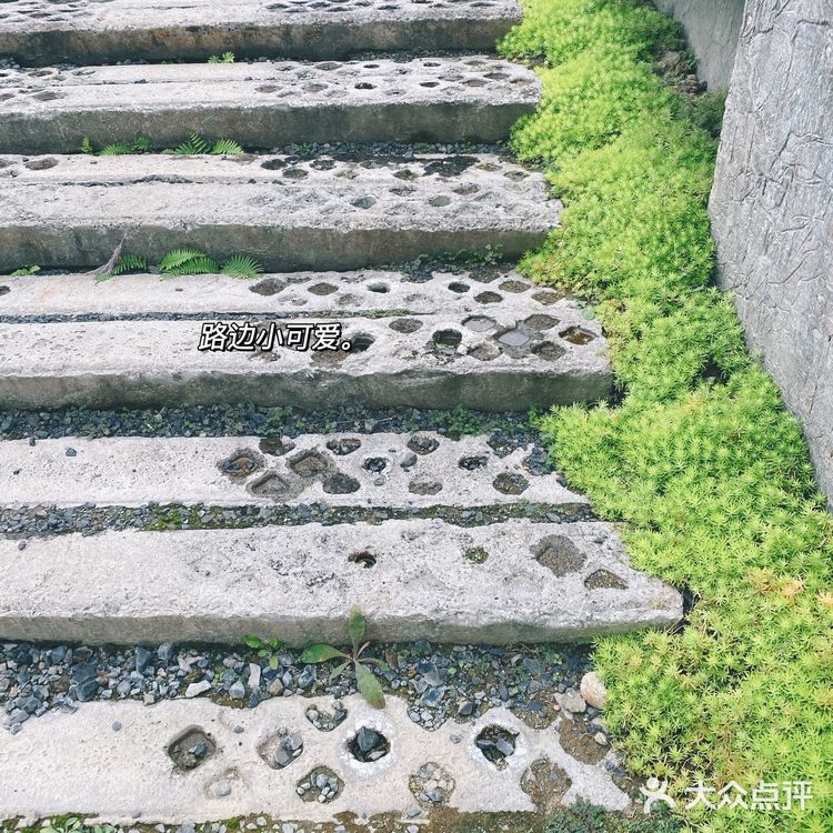 成都小众0元周边游｜在这里看见成都的粉色秋天🍁