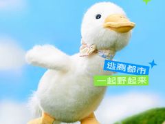 -赛格国际购物中心(小寨店)