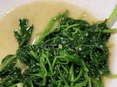 -海之鲜大排档(东山海鲜金銮湾店)