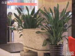 石鼎-金百万烤鸭店(马甸店)