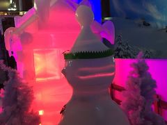 -世界之窗阿尔卑斯冰雪世界