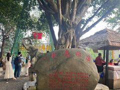 -一寨两国风景区