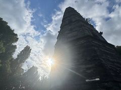 -上海青龙寺