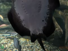 -苏州海洋馆