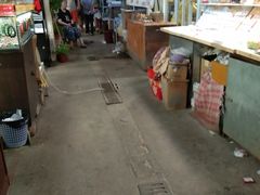 -万商花鸟市场