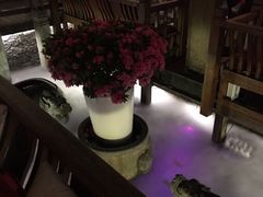 -三只耳火锅(宽窄巷子店)