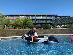 -上海滴水湖皇冠假日酒店