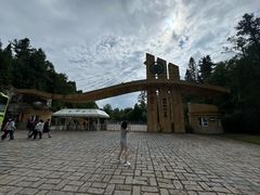 -五营红松林海景区