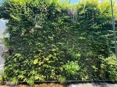 -金泽21世纪美术馆