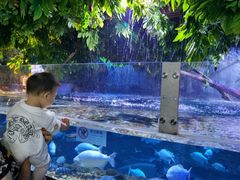 -成都浩海立方海洋公园