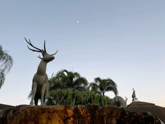 -清迈夜间动物园