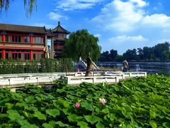 -后海公园