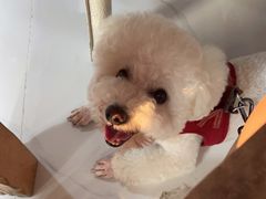 -无味饭店(九眼桥商业文化广场店)