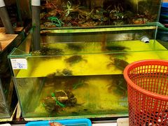 -ZF Seafood Restaurant 卓峰海鲜餐