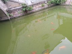 -龙潭水乡