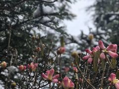 -硗碛藏寨·神木垒景区