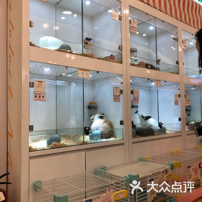 兔子百货图片-北京宠物店-大众点评网