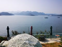 -望湖烤鱼