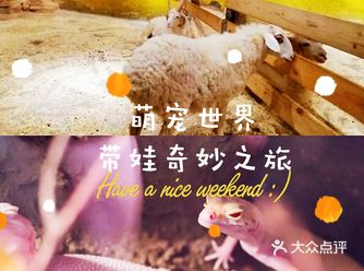 亲子爆款|苏州的朋友一定要带孩子来打卡这家动物园