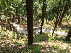 -滴水岩森林公园