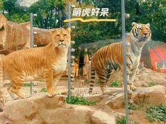 -荆州中山公园动物园