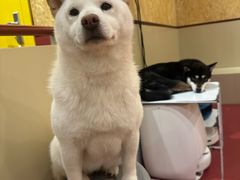 -和它·交个朋友·狗咖猫咖(爱琴海店)