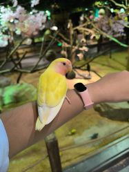 -酷嗒动物文化乐园(cutezoo西溪乐天城店)