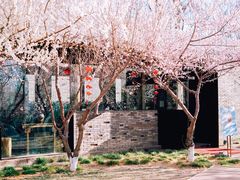 -三里河公园