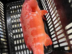 -琼大师东方烤乳猪(亚特兰蒂斯店)