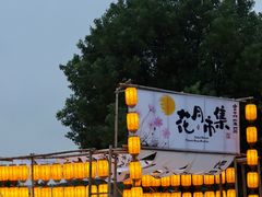 -金卉庄园