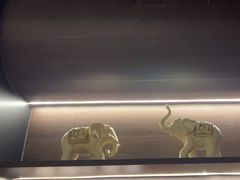-鲜潭蒸汽石锅鱼(万象前海店)