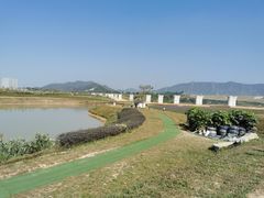 -光明小镇欢乐田园