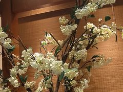 -诺筵汤品·菌汤火锅(南河坝店)