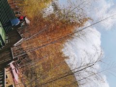 -陶祖圣境风景区