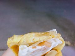 -孙奶奶葱包桧