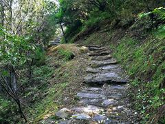 -北京鹫峰国家森林公园