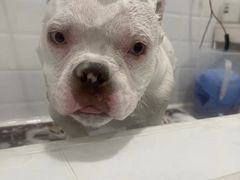 -熊小胖宠物生活馆(天华园店)